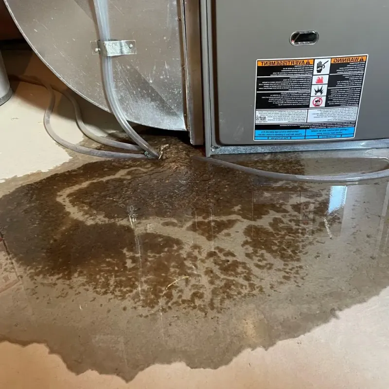 Pipe Burst and Leak Restoration in Gloucester Point, VA